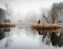 Лечение в клиниках Израиля