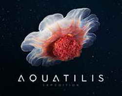 Отобрала сразу 7 вкусных рецептов горячих блюд на праздничный стол: теперь знаю, что приготовлю на Новогодний стол