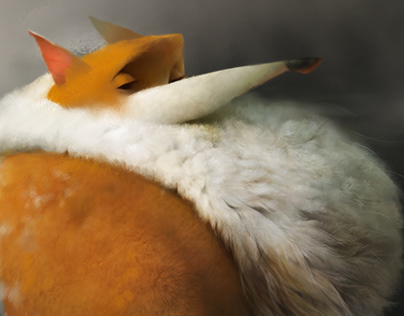 В России начались продажи неубиваемого HONOR X9d с батареей на 8300 мАч