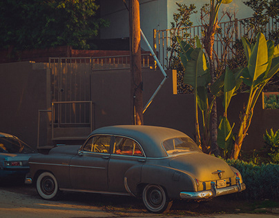 Учёные обнаружили, что при виде красного, зелёного или жёлтого цветов мозг у людей работает схожим образом